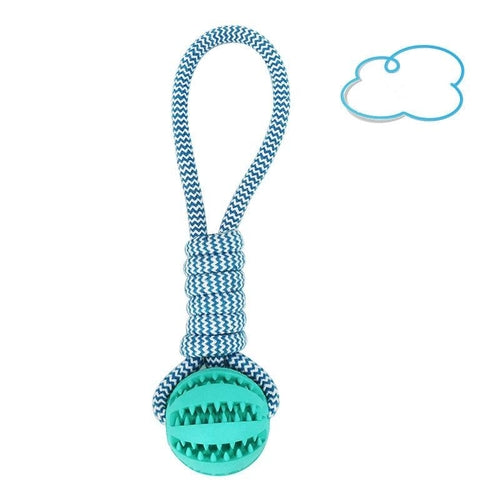 Twist Dental Chew – Dog Toy for Teeth Cleaning & Gum Health