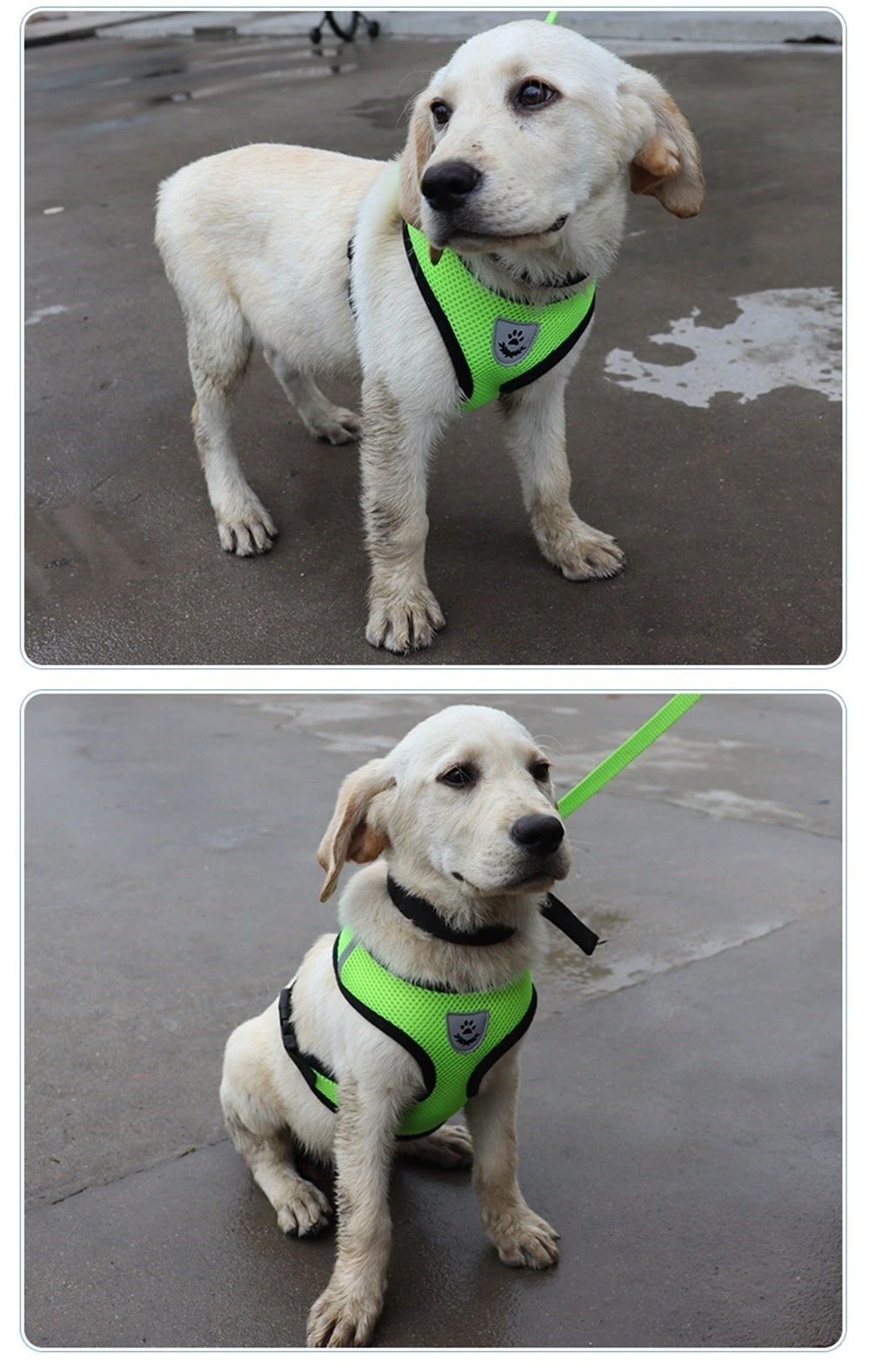 Cat Dog Pet Harness Adjustable Control Vest Dogs Reflective S M L XL