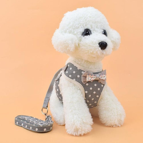 AdventurePaws™ Pet Harness – Adjustable Chest Strap for Dogs, Cats & Small Animals