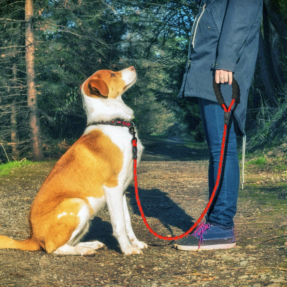 Reflective Large Dog Leash Nylon Rope Pet RunninrailGuard™ Reflective Dog Leash – Heavy Duty Nylon Rope Leash for Medium & Large Dogs (5ft)