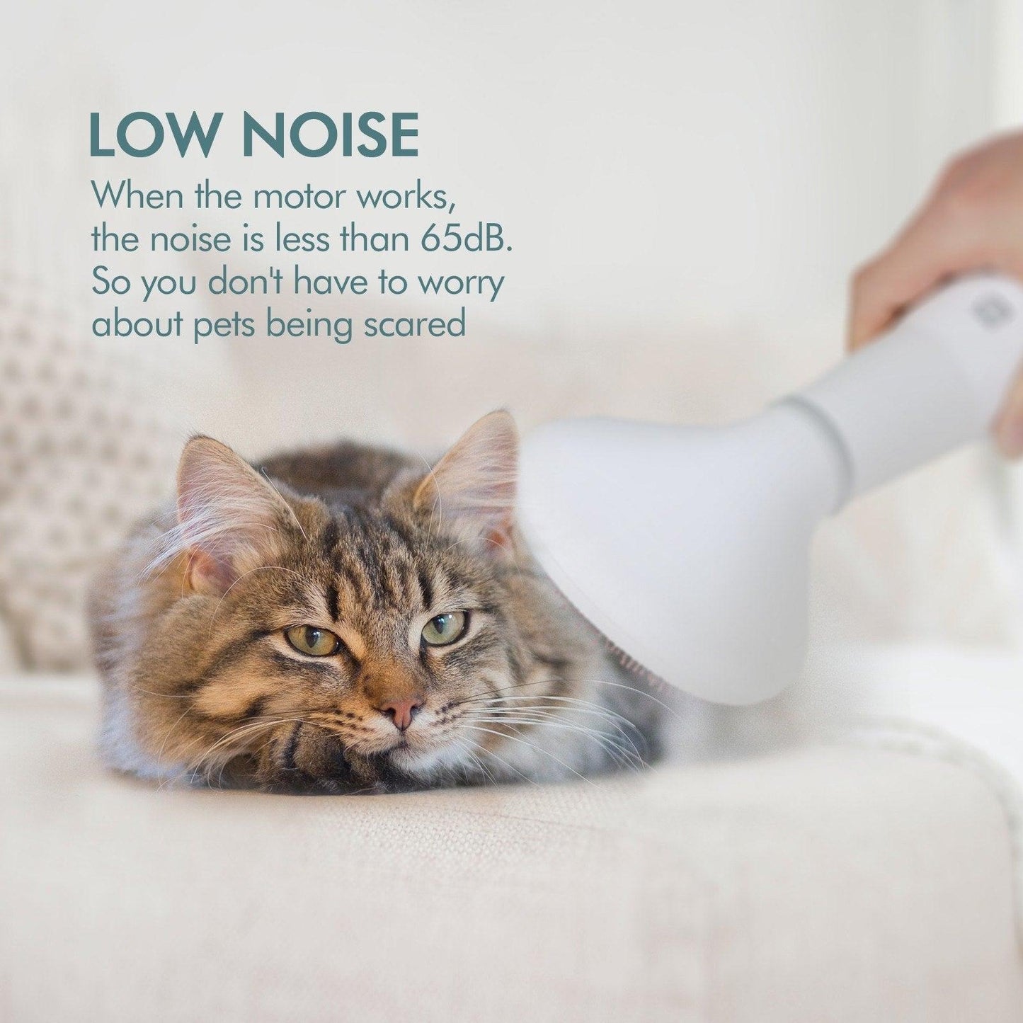 GroomFlow™ 2-in-1 Pet Hair Dryer & Slicker Brush – Blow Dry + Groom in One Tool