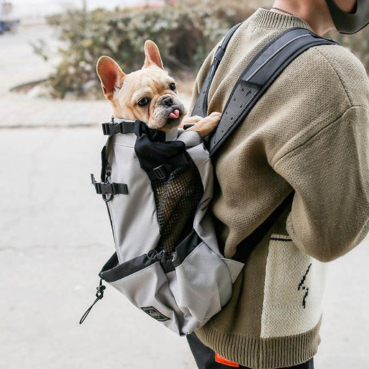 Double Shoulder Pet Carrier Backpack – Hands-Free Travel for Dogs & Cats (S–XL)